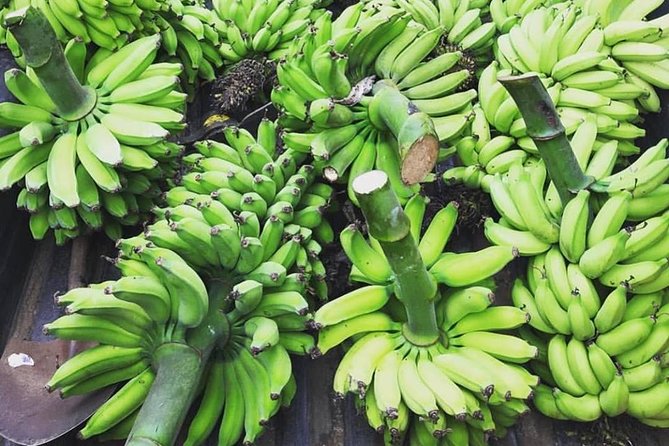 Kualoa Ranch - Kualoa Grown Tour - Moli’i fishpond and Hawaiian food traditions