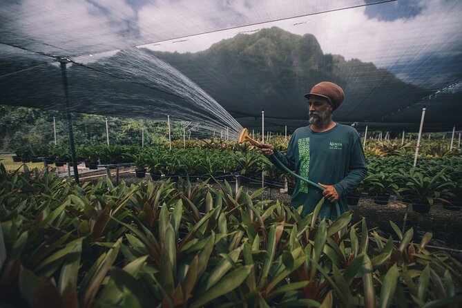 Kualoa Ranch - Kualoa Grown Tour - How long the visit takes