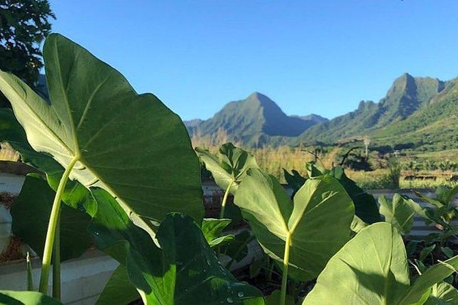 Kualoa Ranch - Kualoa Grown Tour - Is $67.24 a fair price?