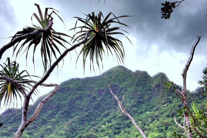 Kualoa Ranch: Novice E-Bike - Fitness, bike fit, and comfort