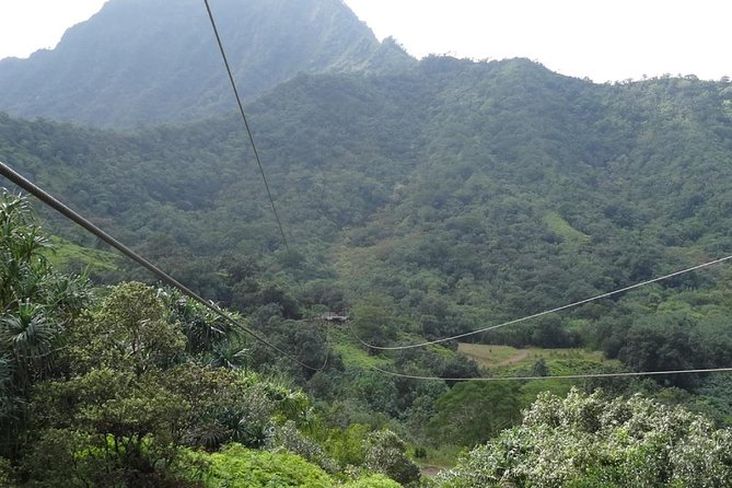Kualoa Ranch - Zipline Tour - Health, fit, and safety rules