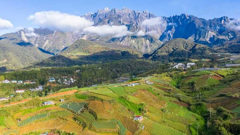Kundasang: Day Tour with Desa Dairy Farm and Alpaca Club - Returning to the city through Sabah City Mosque