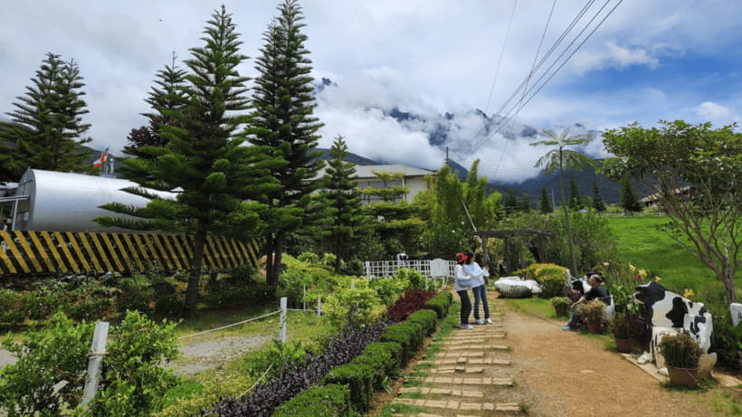 Kundasang: Day Tour with Desa Dairy Farm and Alpaca Club - The pace, transport, and comfort level