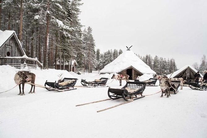 Kuoksa Reindeer Farm Visit with a Short Sleigh Ride - Key points to know before booking