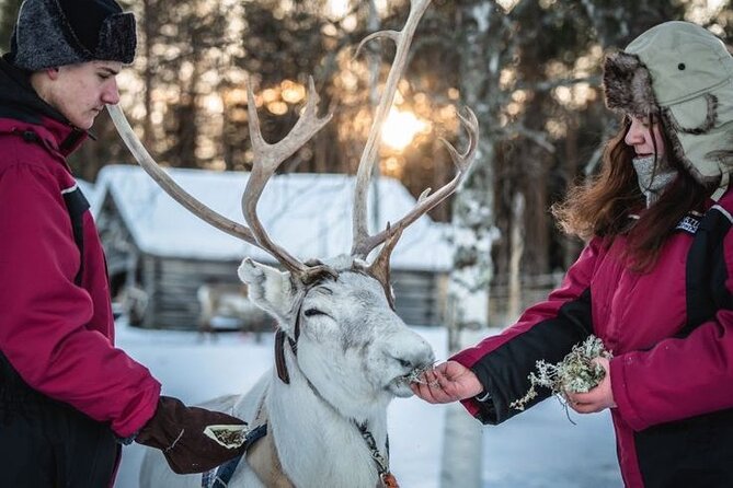 Kuoksa Reindeer Farm Visit with a Short Sleigh Ride - Who should book the Kuoksa visit?