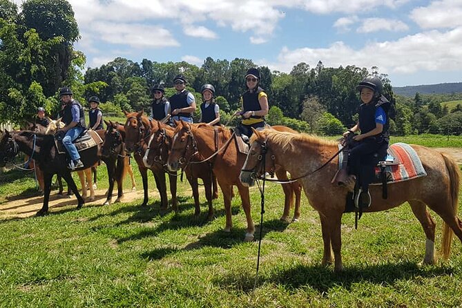 Kuranda 60 minute Horse Trail Ride and Petting Farm - A horse ride in Kuranda’s green hills