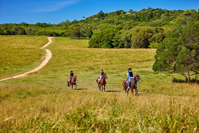 Kuranda 60 minute Horse Trail Ride and Petting Farm - From rainforest tracks to the petting farm