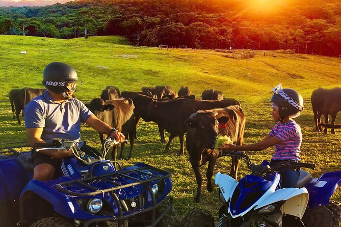 Kuranda 60 minute Quad Bike Experience and Petting Farm - Why the rainforest and creek sections matter