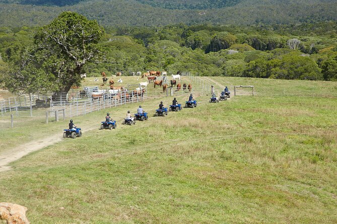 Kuranda 60 minute Quad Bike Experience and Petting Farm - A family outing that avoids a one-note schedule
