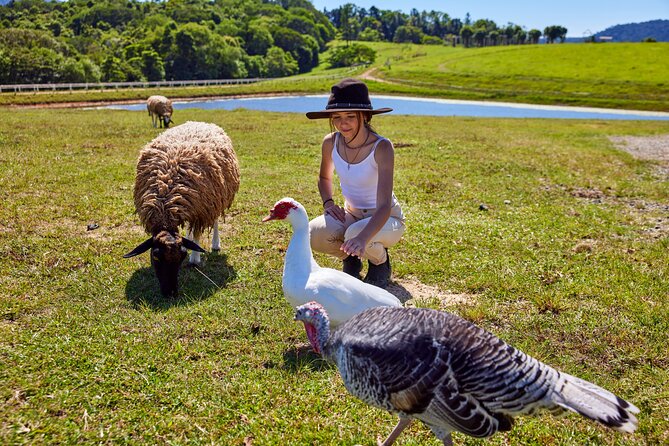 Kuranda 60 minute Quad Bike Experience and Petting Farm - Is $128.39 a fair price?
