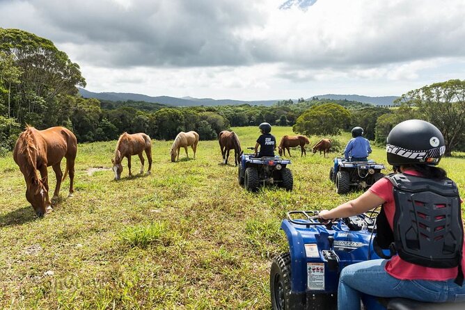 Kuranda 60 minute Quad Bike Experience and Petting Farm - Timing your visit around weather