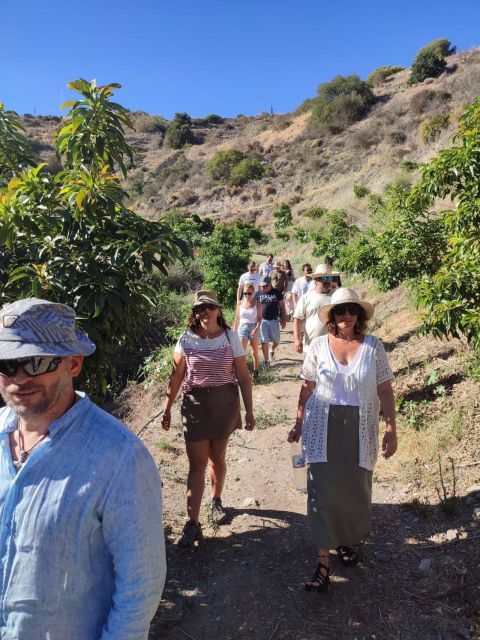 La Herradura Coffee Farm: tour in Europe's only plantation - Why this coffee farm is unusual in Andalusia