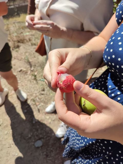 La Herradura Coffee Farm: tour in Europe's only plantation - Manuel makes the family story part of the tour