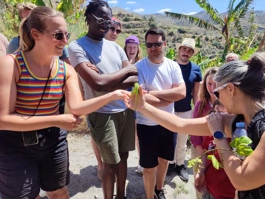 La Herradura Coffee Farm: tour in Europe's only plantation - Ending at the 300-year-old cortijo