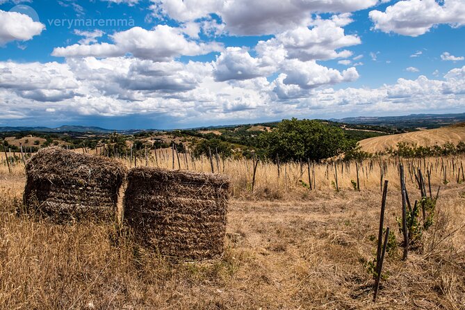 La Maliosa Farm Experience & Wine Tasting - Who will get the most from this farm visit