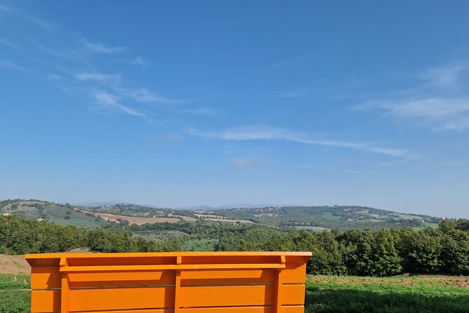 La Maliosa Farm Experience & Wine Tasting - Understanding natural wine and the Metodo Corino