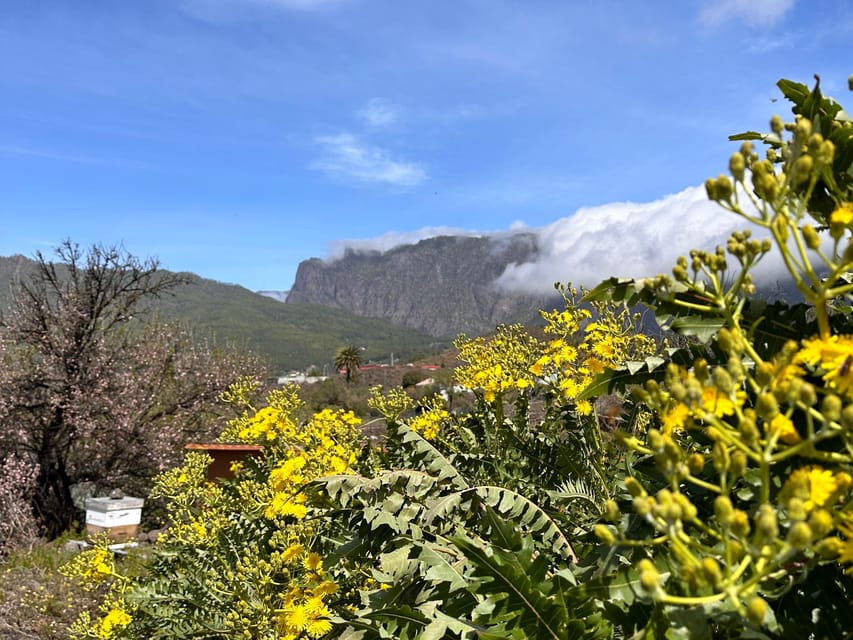La Palma : Tour of an ecological farm w/ animals & tasting - Final call: is Ecofinca Tacande worth your time?