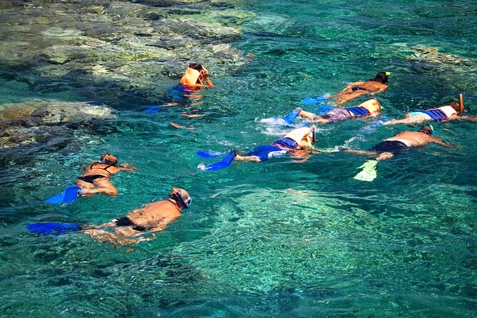 La Paz: Coral Farm Snorkel Tour - Key points at a glance