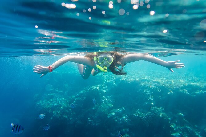La Paz: Coral Farm Snorkel Tour - Why the coral nursery makes this La Paz snorkel different