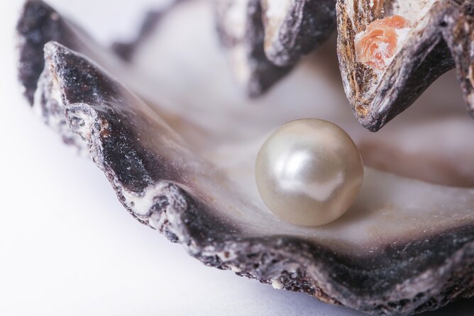 La Paz: Pearl Farm Experience and shop - Key points about the La Paz pearl farm