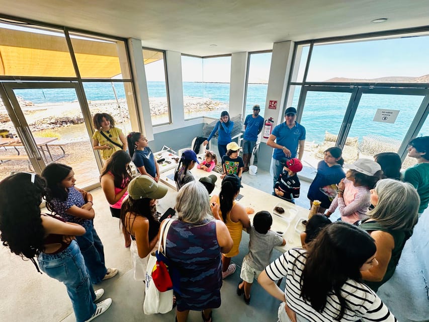 La Paz: Pearl Farm Experience and shop - Booking, timing, and cancellation