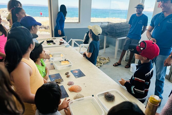 La Paz: Pearl Farm Experience and shop - The exclusive pearl shop and the cost of the tour