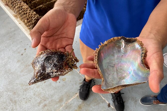 La Paz: Pearl Farm Experience and shop - Booking ahead and keeping plans flexible