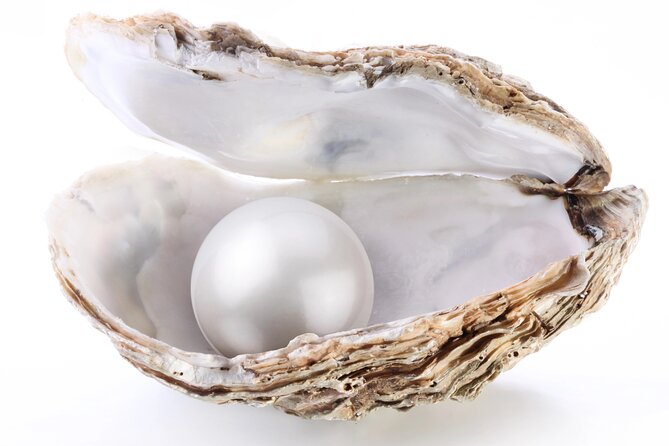 La Paz: Pearl Farm Experience and shop - Starting at Avenida Pichilingue