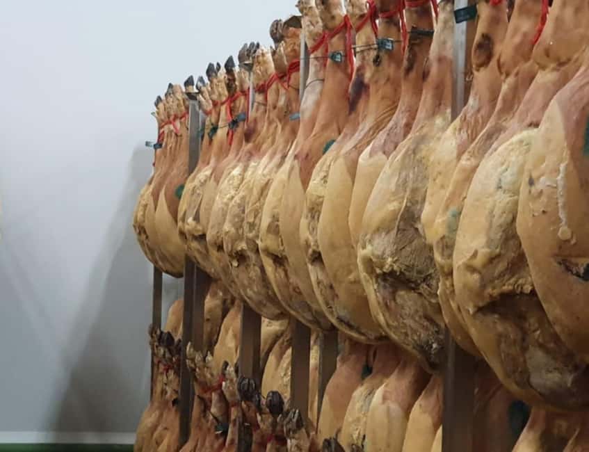 La Rioja: Jamon Iberico Farm Tour and Tasting with Wine - Walking through the feed mill and working facilities