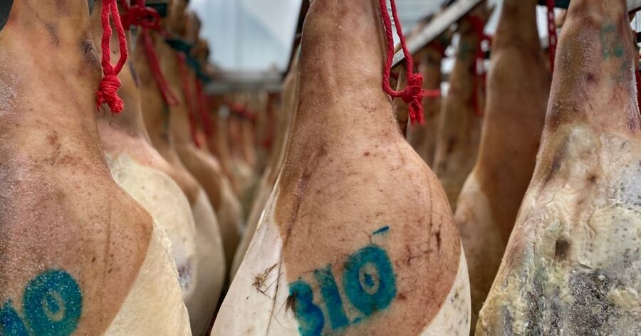 La Rioja: Jamon Iberico Farm Tour and Tasting with Wine - The tasting: ham, sausages, and Rioja wine