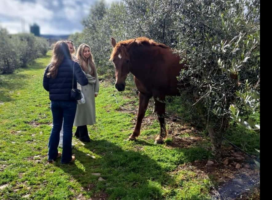 La Rioja: Jamon Iberico Farm Tour and Tasting with Wine - Timing, language, and what to bring