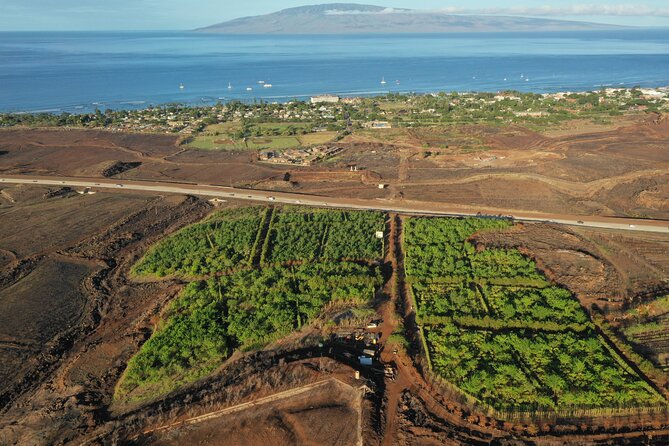 Lahaina: Maui Ku'ia Estate Guided Cacao Farm Tour and Tasting - The 20-acre cacao estate puts farming first