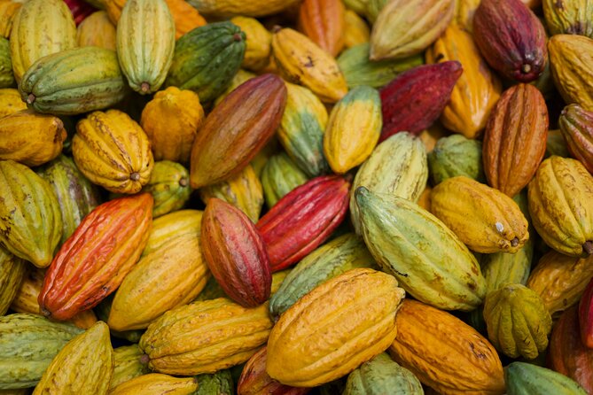 Lahaina: Maui Ku'ia Estate Guided Cacao Farm Tour and Tasting - Group size, stairs, and the details that shape the day
