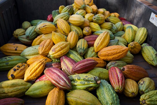 Lahaina: Maui Ku'ia Estate Guided Cacao Farm Tour and Tasting - Who will enjoy this Ku’ia Estate tour most
