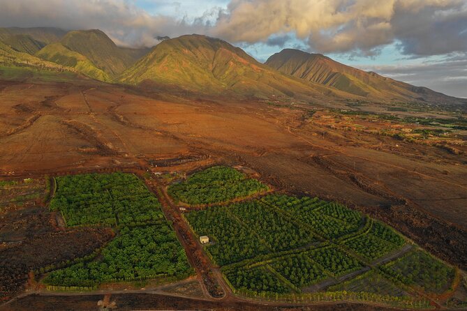 Lahaina: Maui Ku'ia Estate Guided Cacao Farm Tour and Tasting - FAQ