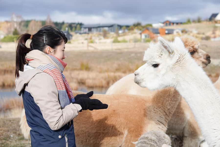 Lake Tekapo High Country Farm Tour (Carbon Positive) - Why this farm tour adds something different to Tekapo