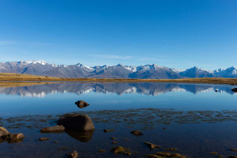 Lake Tekapo High Country Farm Tour (Carbon Positive) - Swan Tarn and the black stilt habitat