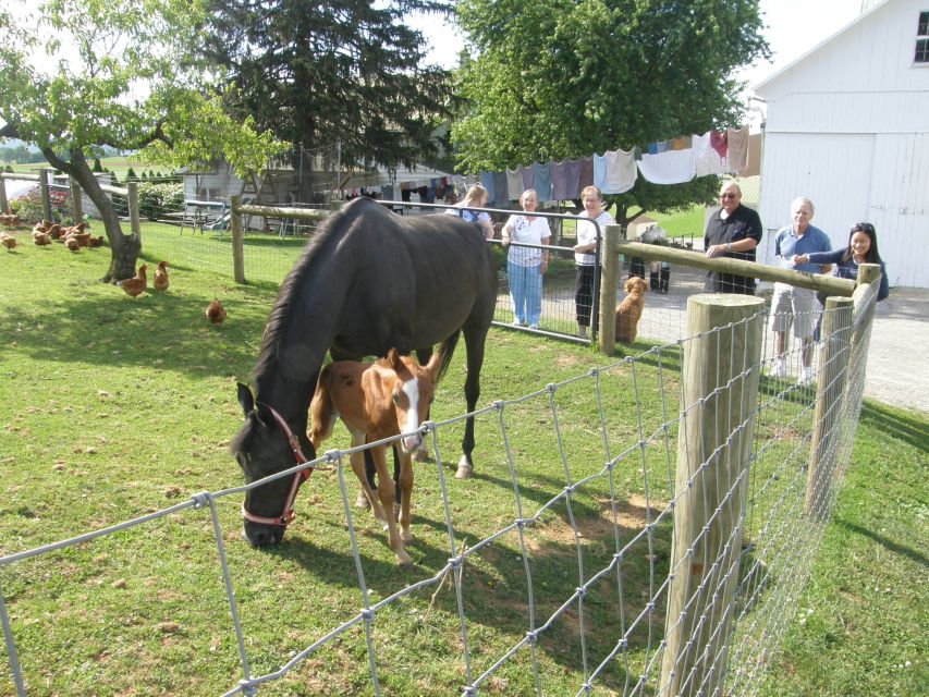 Lancaster: Amish Experience Visit-in-Person Tour 3 Stops - Stop one: an Amish family home