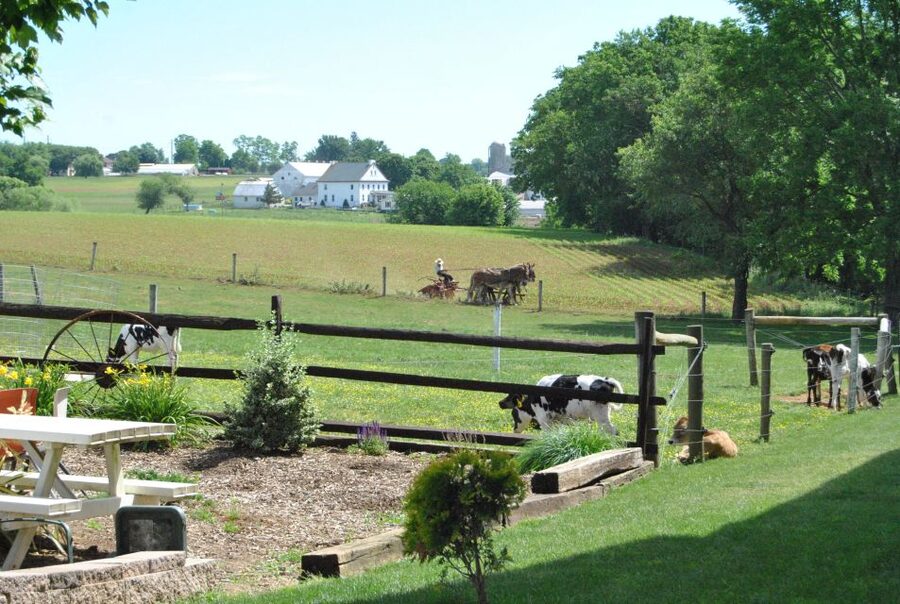 Lancaster: Amish Experience Visit-in-Person Tour 3 Stops - Stop two: farm work and goat milking