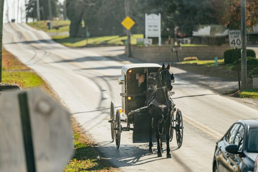Lancaster: Amish Film, House, and Farmland Experience - Is $34 a Good Value?