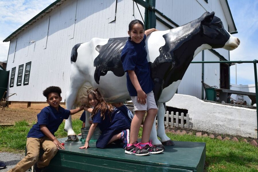 Lancaster County: Amish Farmlands, Museum Tour, Farm Visit - Key points to know before you book