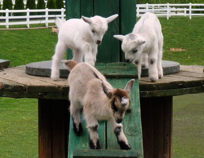 Lancaster County: Amish Farmlands, Museum Tour, Farm Visit - Inside the 1805 Amish farmhouse
