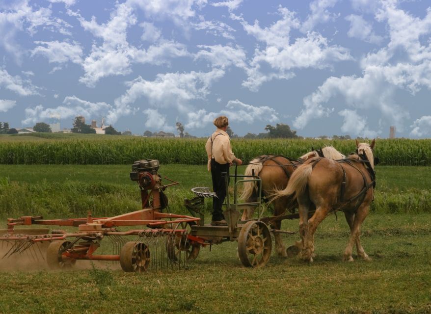 Lancaster County: Amish Farmlands, Museum Tour, Farm Visit - A 15-acre farm where you set the pace