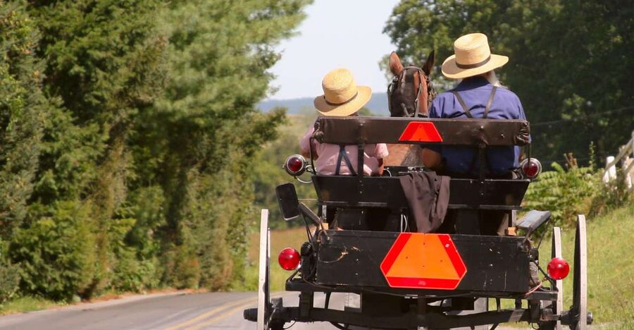 Lancaster County: Amish Farmlands, Museum Tour, Farm Visit - The 14-passenger bus is the best way to see the countryside