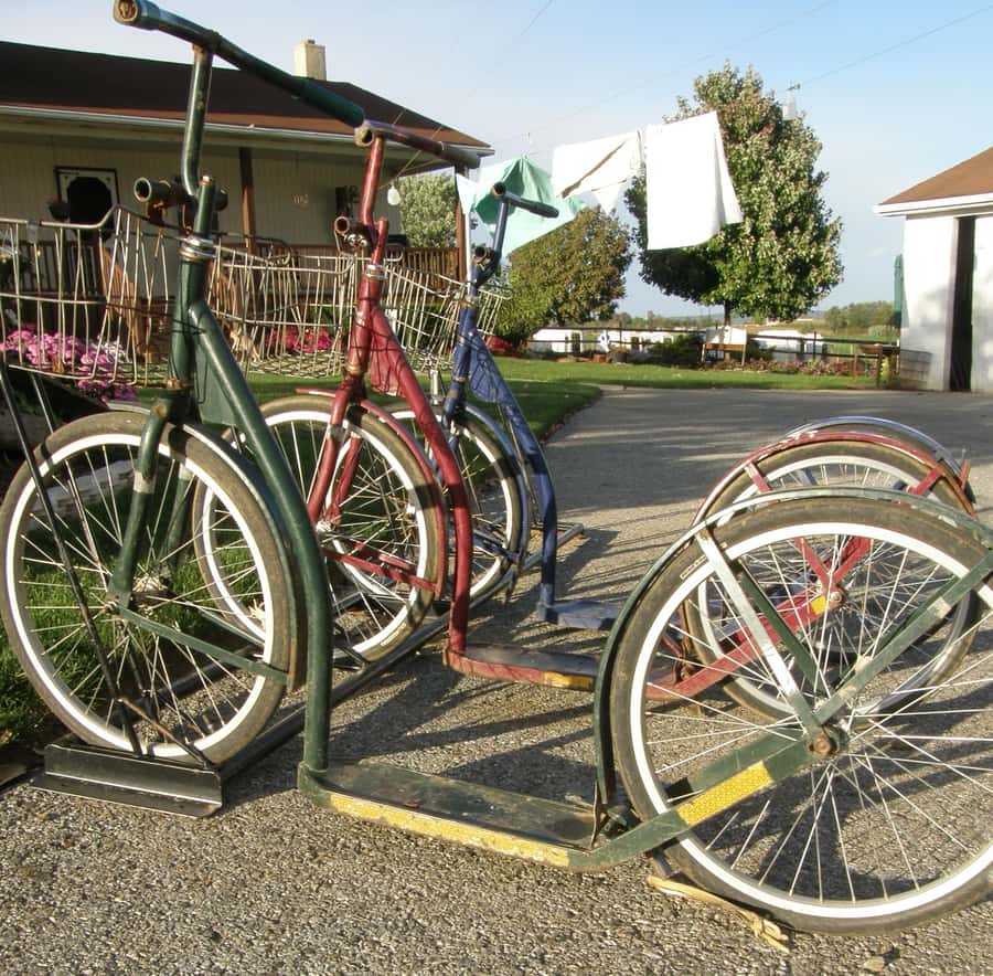 Lancaster County: Amish Farmlands Tour & Family-Style Dinner - Key points to know before booking