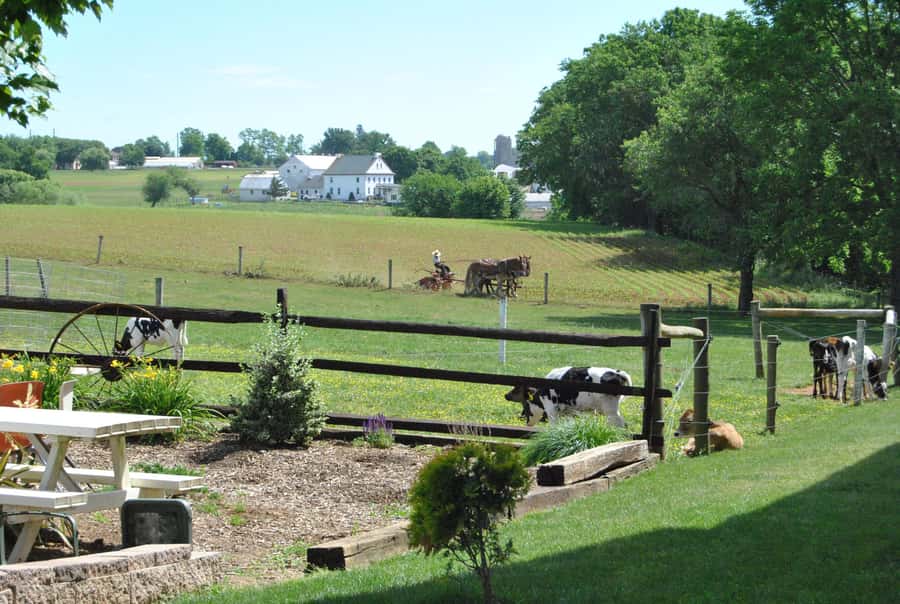 Lancaster County: Amish Farmlands Tour & Family-Style Dinner - The 4:30 PM minibus departure