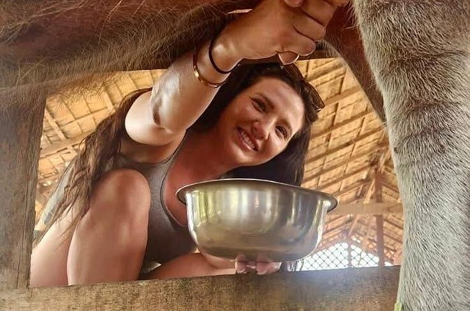 Laos Buffalo Dairy Tours Interact, Learn and Taste Fresh Flavors - Choosing the right tour length and format