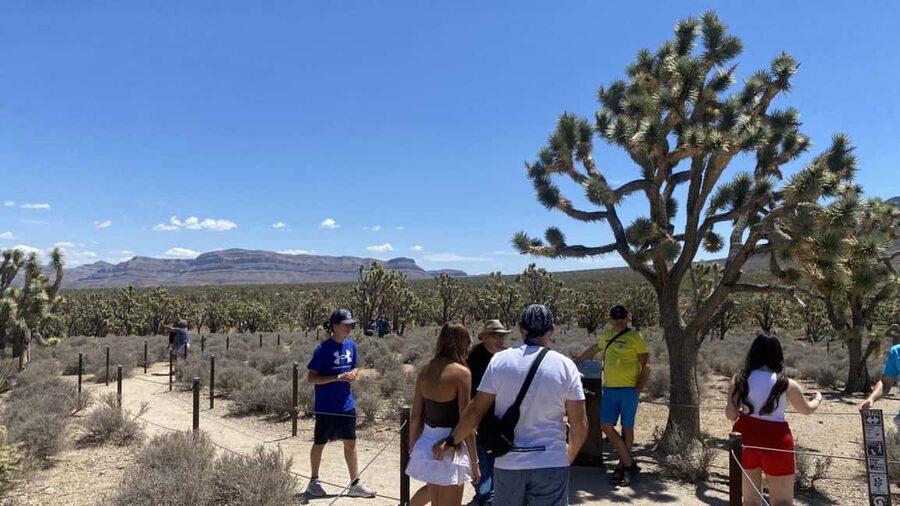 Las Vegas: Grand Canyon Helicopter & Ranch Adventure by Bus - Hoover Dam from the Mike OCallaghan Memorial Bridge