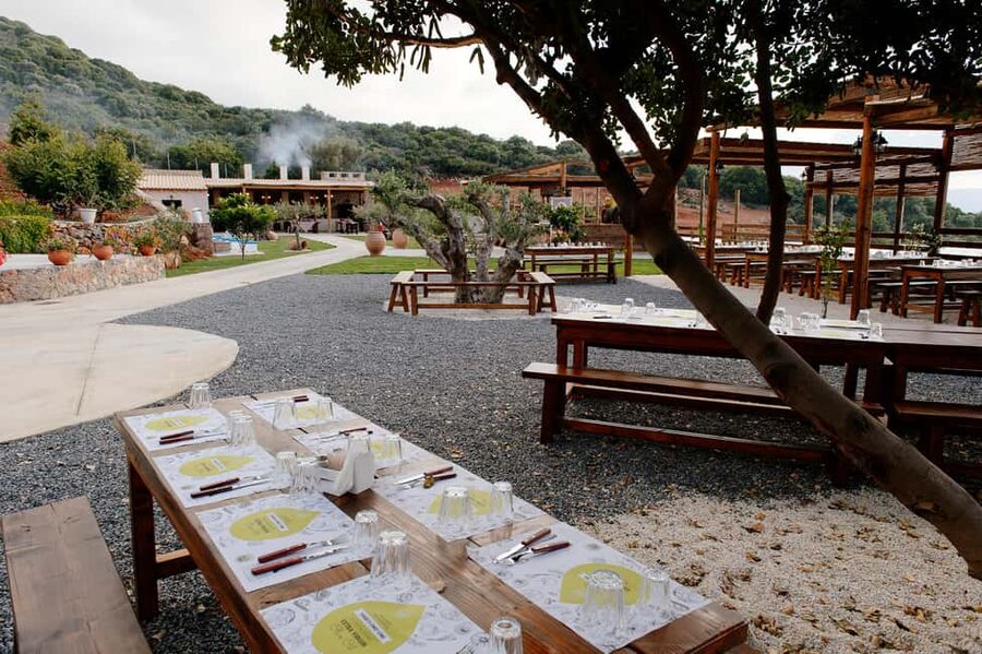 Lassithi, Zeus Cave, Olive Mill Farm & Knossos Combo Tour - What the $58 price really covers