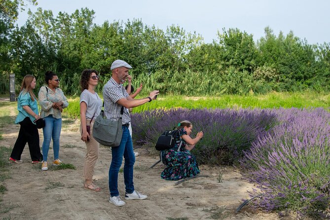 Lavender Harvesting and Distillation Workshop in Bellegarde - Key points at a glance